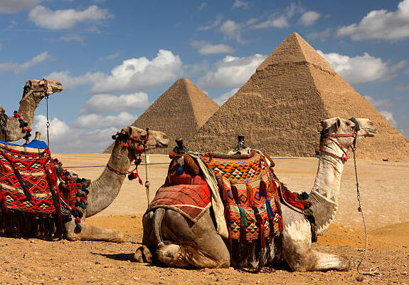фотографии Целых 2 недели в Египте по шикарной цене! Бронируй без раздумий! 