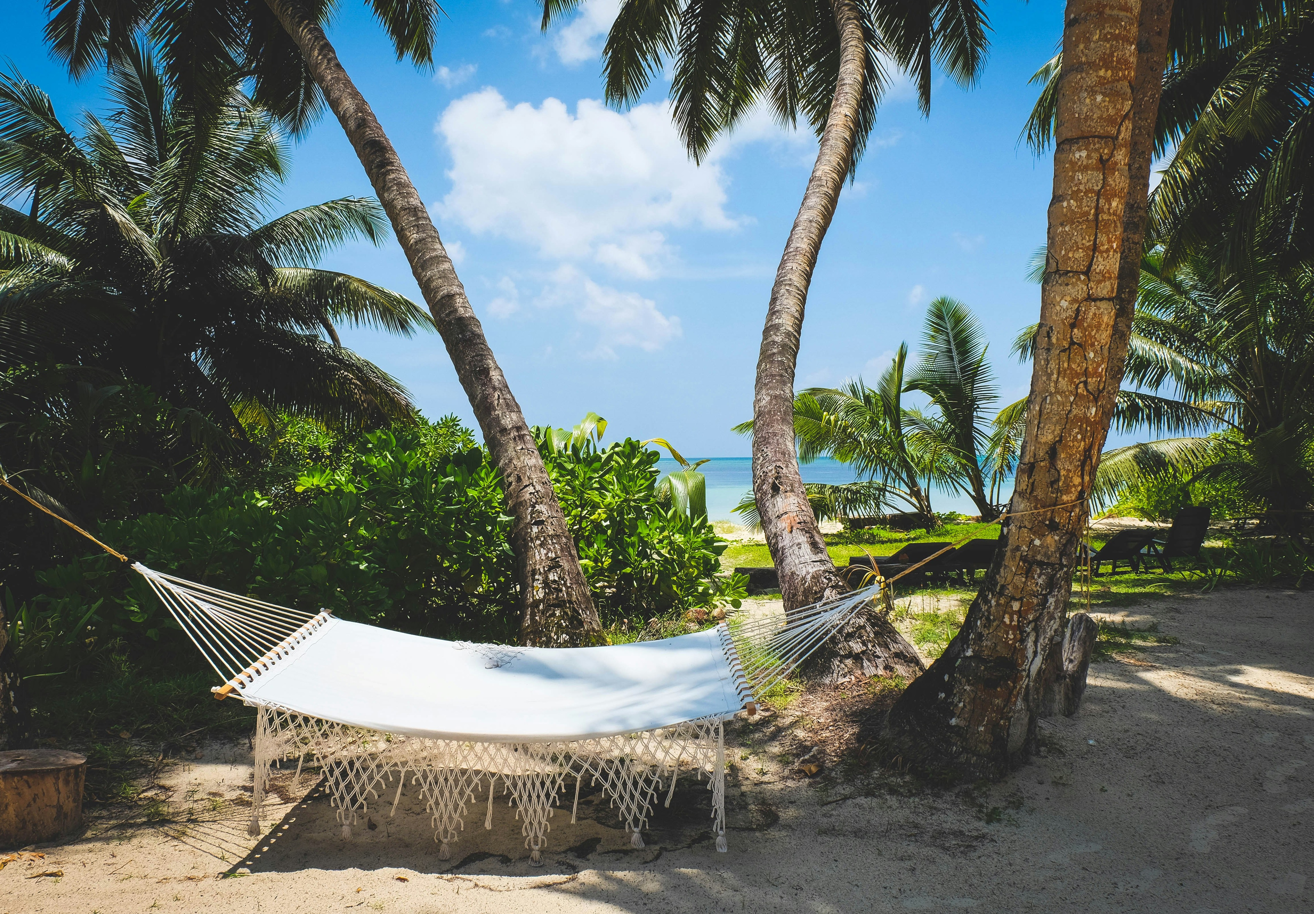 фотографии Баунти-пляжи Сейшельских островов ждут! Летим в апреле со скидками! 