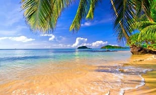 Туры в Индию, Гоа