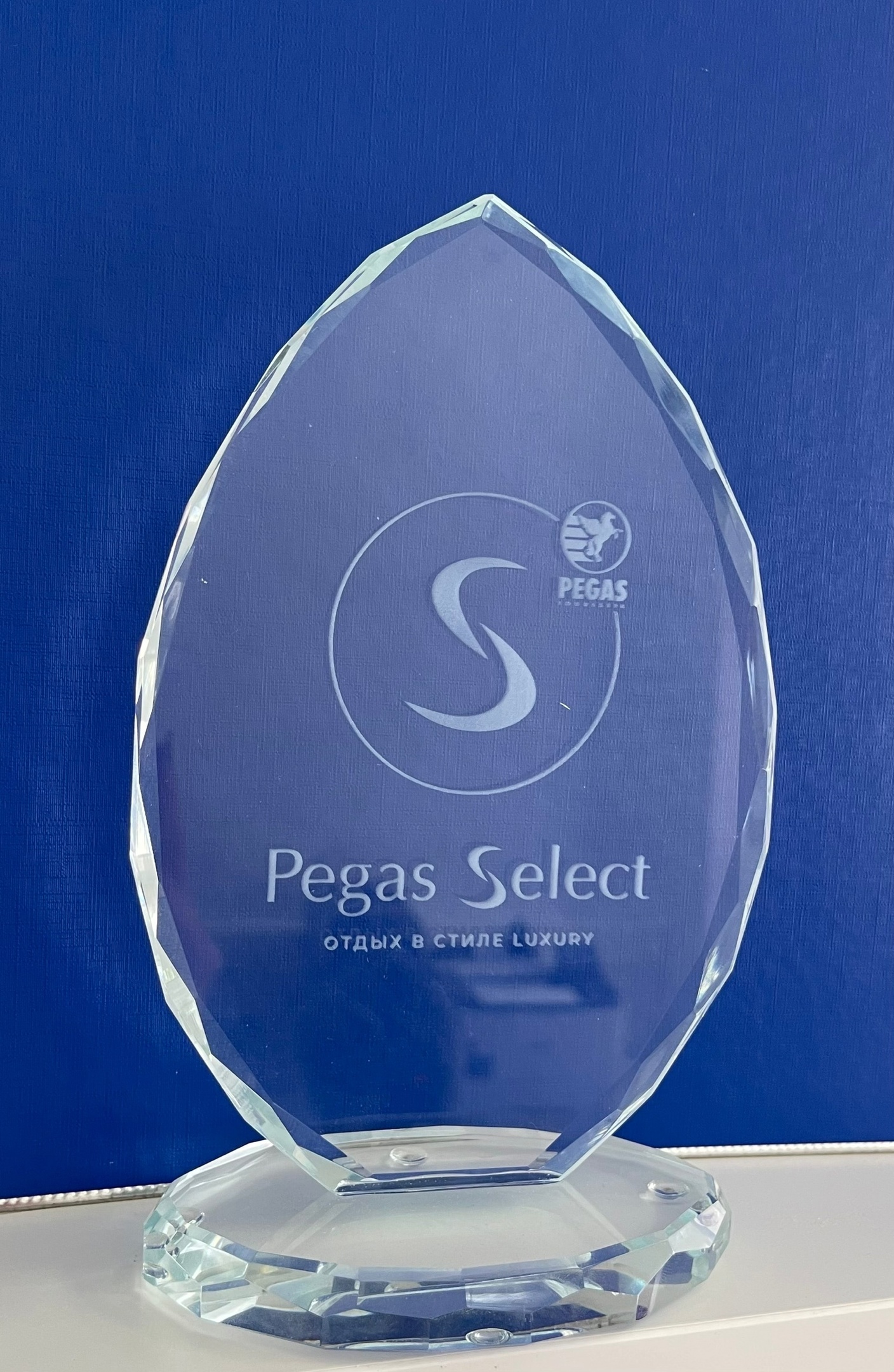 Сертификат "Пегас2023"