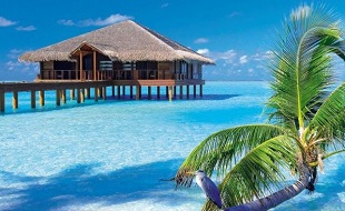 фото В декабре летим на Мальдивы на 12 дней! Цена снижена!