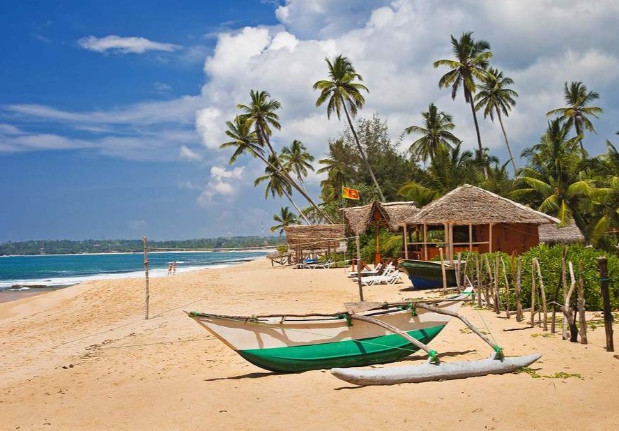 фотографии Полмесяца на Шри-Ланке! Потрясающий тур на самый экзотический остров мира! 