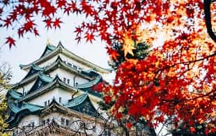 фотографии Авиатур в Южную Корею Корея фото Авиатур в Южную Корею