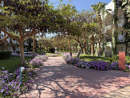 Незабываемая поездка в Египет. 