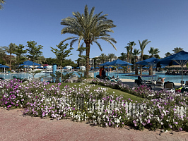 Незабываемая поездка в Египет. 