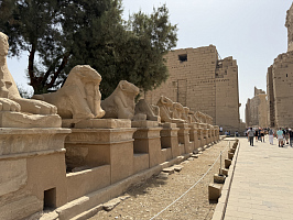 Незабываемая поездка в Египет. 